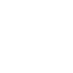 Web-bitkub